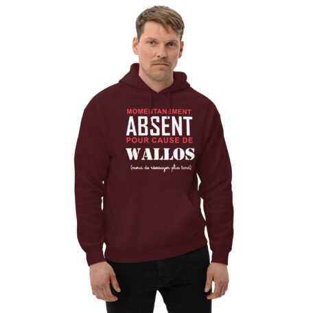 unisex-heavy-blend-hoodie-maroon-front-66c363a44fced.jpg