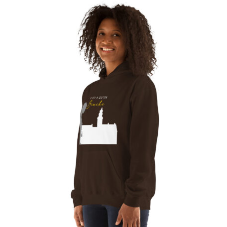 unisex-heavy-blend-hoodie-dark-chocolate-left-front-66ead209465c8.jpg