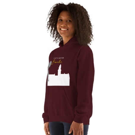 unisex-heavy-blend-hoodie-maroon-left-front-66ead2092d359.jpg