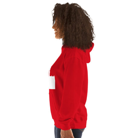 unisex-heavy-blend-hoodie-red-left-66ead20962bcb.jpg