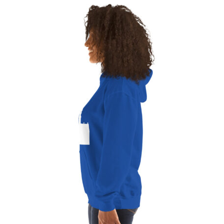 unisex-heavy-blend-hoodie-royal-left-66ead209a8881.jpg