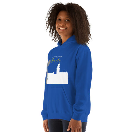 unisex-heavy-blend-hoodie-royal-left-front-66ead209a38e6.jpg