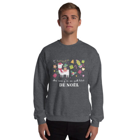 unisex-crew-neck-sweatshirt-dark-heather-front-6720c25acc964.jpg