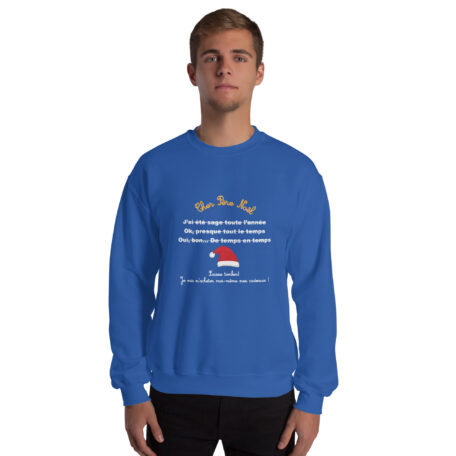 unisex-crew-neck-sweatshirt-royal-front-6720d8e5914e5.jpg