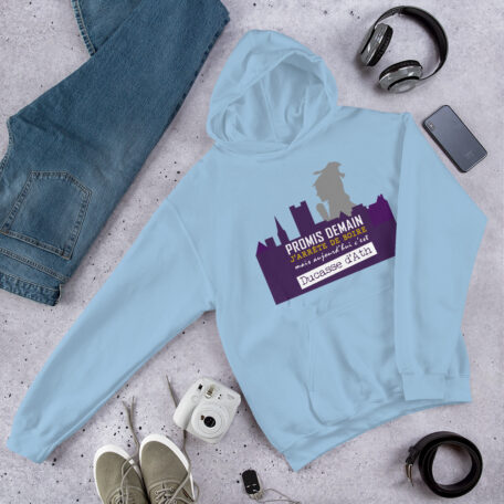 unisex-heavy-blend-hoodie-light-blue-front-6873d726deb3e.jpg