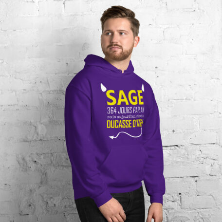 unisex-heavy-blend-hoodie-purple-right-front-6873c08f2cd49.jpg
